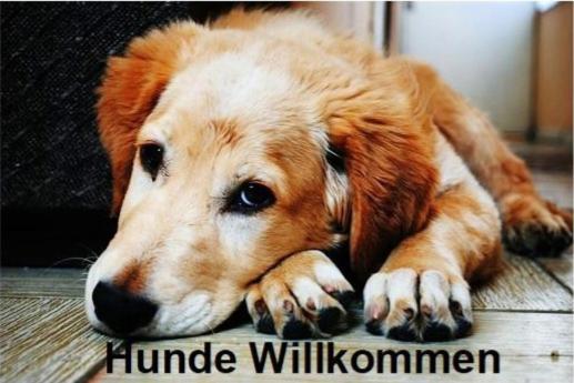 Altstadt- Und Businesshotel Pfaubraeu - Brauereigasthof - Fruehstuecksbuffet - Kostenfreie Radgarage - Hunde Willkommen Тростберг-ан-дер-Альц Экстерьер фото